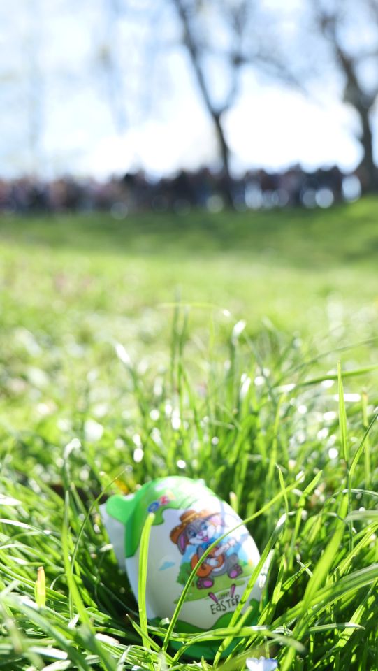 Lov na jaja Perivoj zrinski 2026 (15) Lov na jaja Perivoj zrinski 2026 (15)