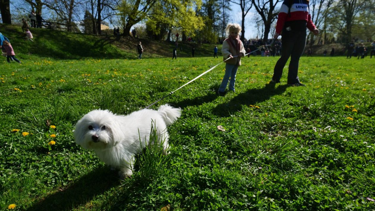 Lov na jaja Perivoj zrinski 2026 (45) Lov na jaja Perivoj zrinski 2026 (45)