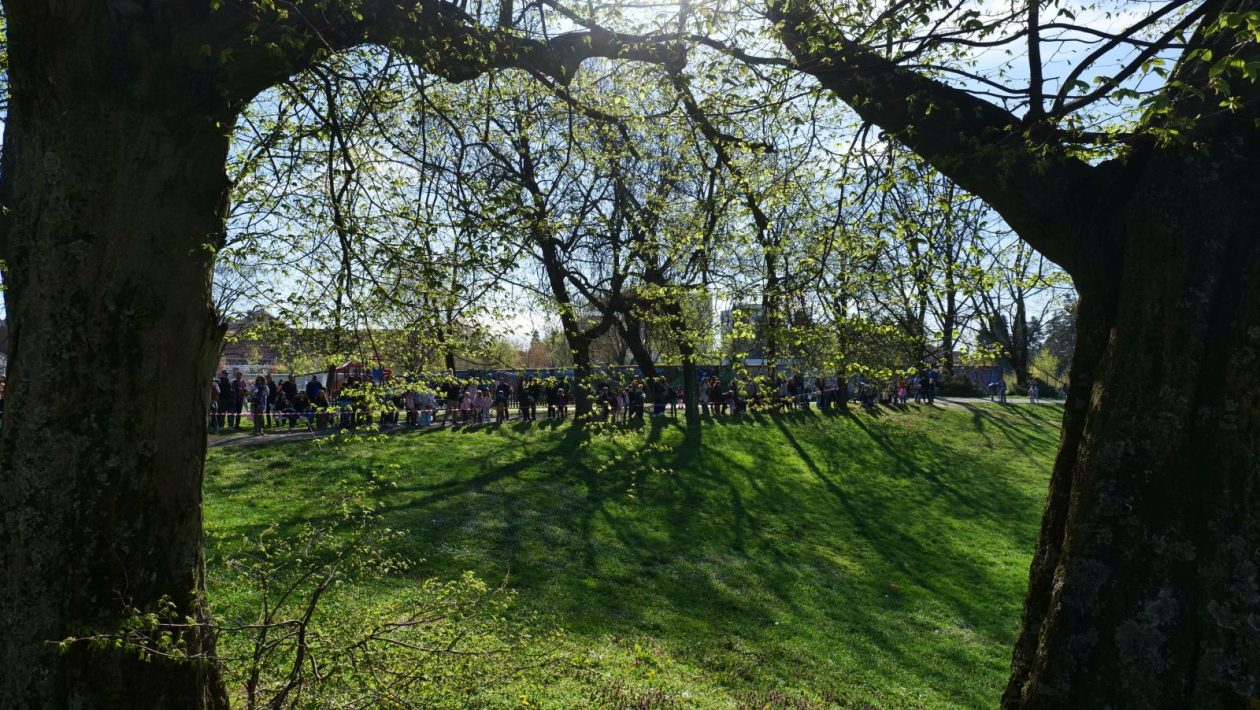 Lov na jaja Perivoj zrinski 2026 (5) Lov na jaja Perivoj zrinski 2026 (5)