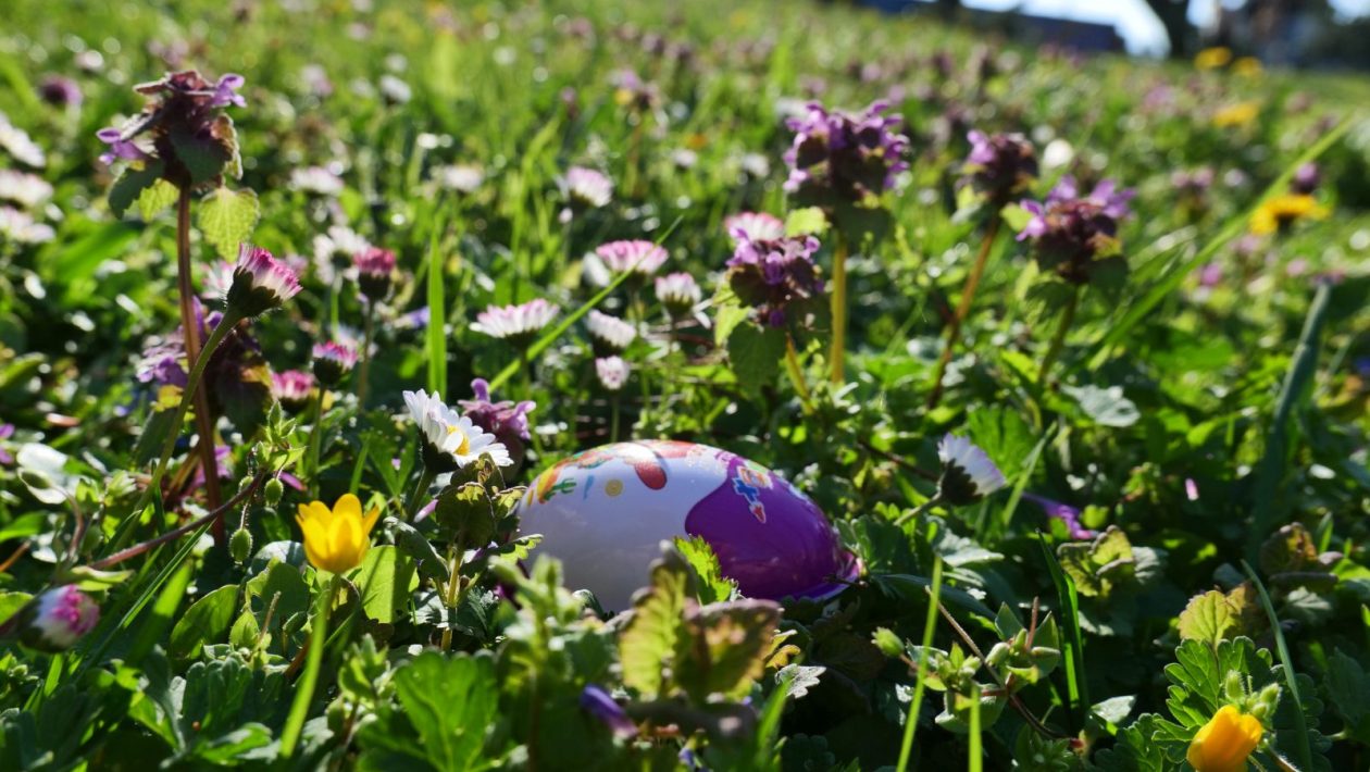 Lov na jaja Perivoj zrinski 2026 (58) Lov na jaja Perivoj zrinski 2026 (58)