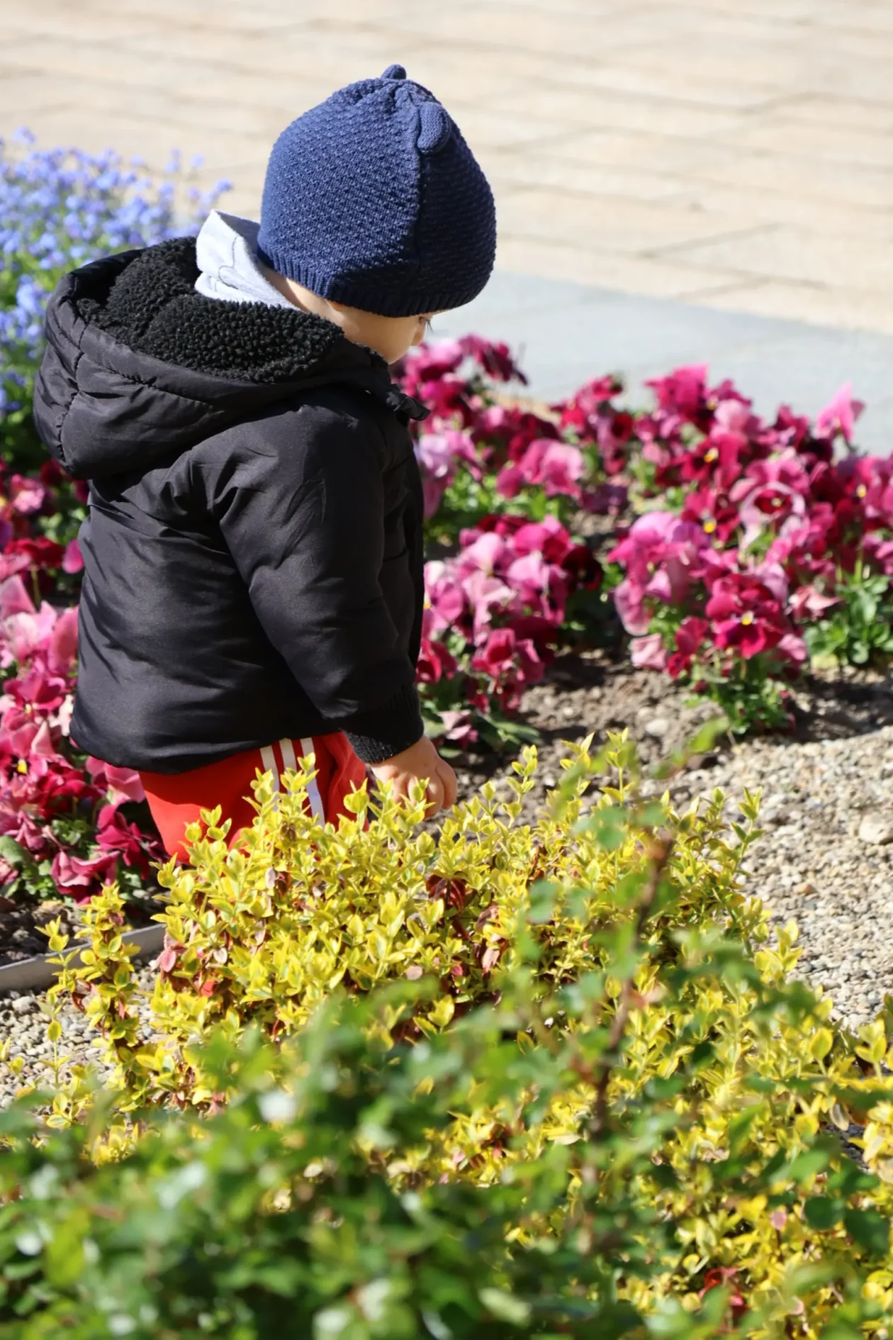 Lov na jaja Uskrs Prelog 2026 (37) Lov na jaja Uskrs Prelog 2026 (37)