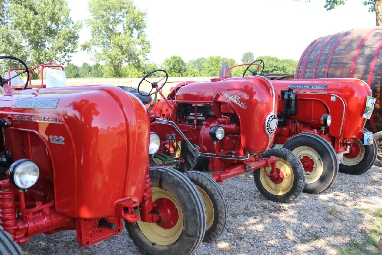 Lov na labuđe pero 2025 5