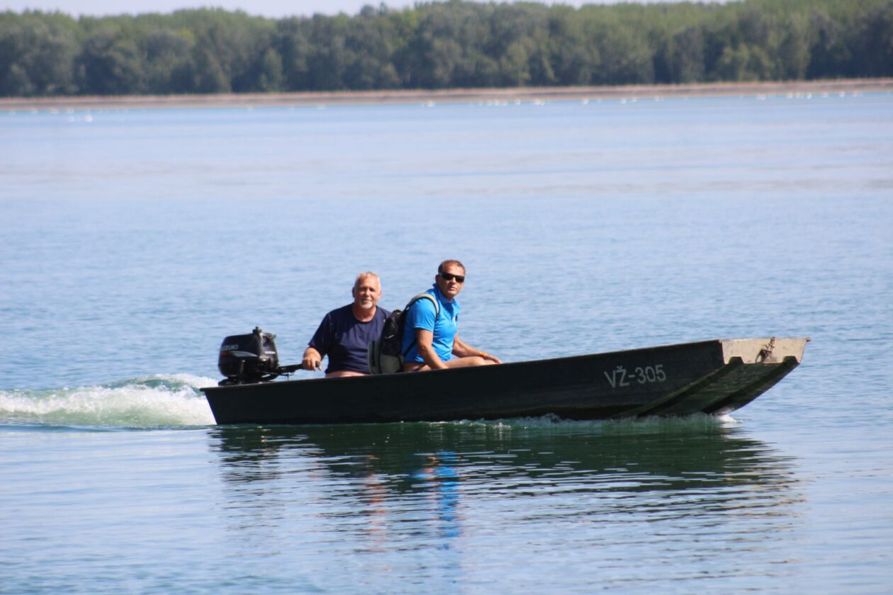 Lov na labuđe pero 2025 9