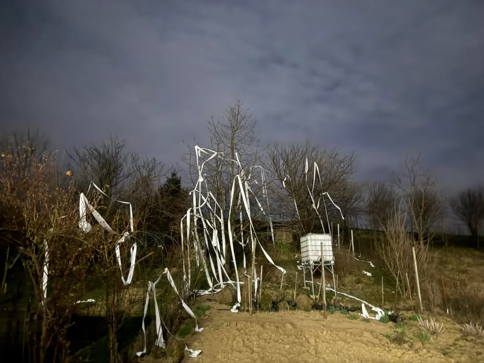 Ludilo uoči vjenčanja Potepanje u Križovcu i Železnoj Gori podiglo atmosferu (6) Ludilo uoči vjenčanja Potepanje u Križovcu i Železnoj Gori podiglo atmosferu (6)
