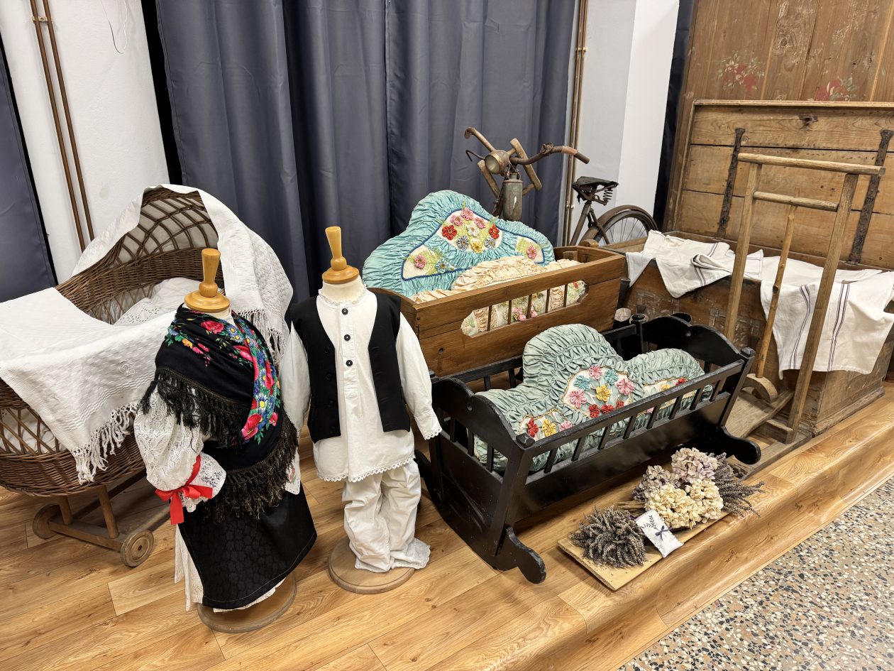 MALA SUBOTICA Noć muzeja (10)