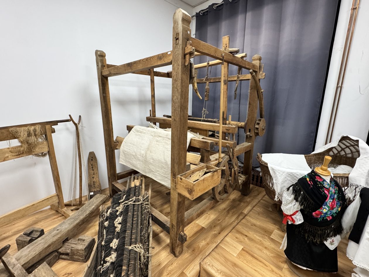 MALA SUBOTICA Noć muzeja (18)