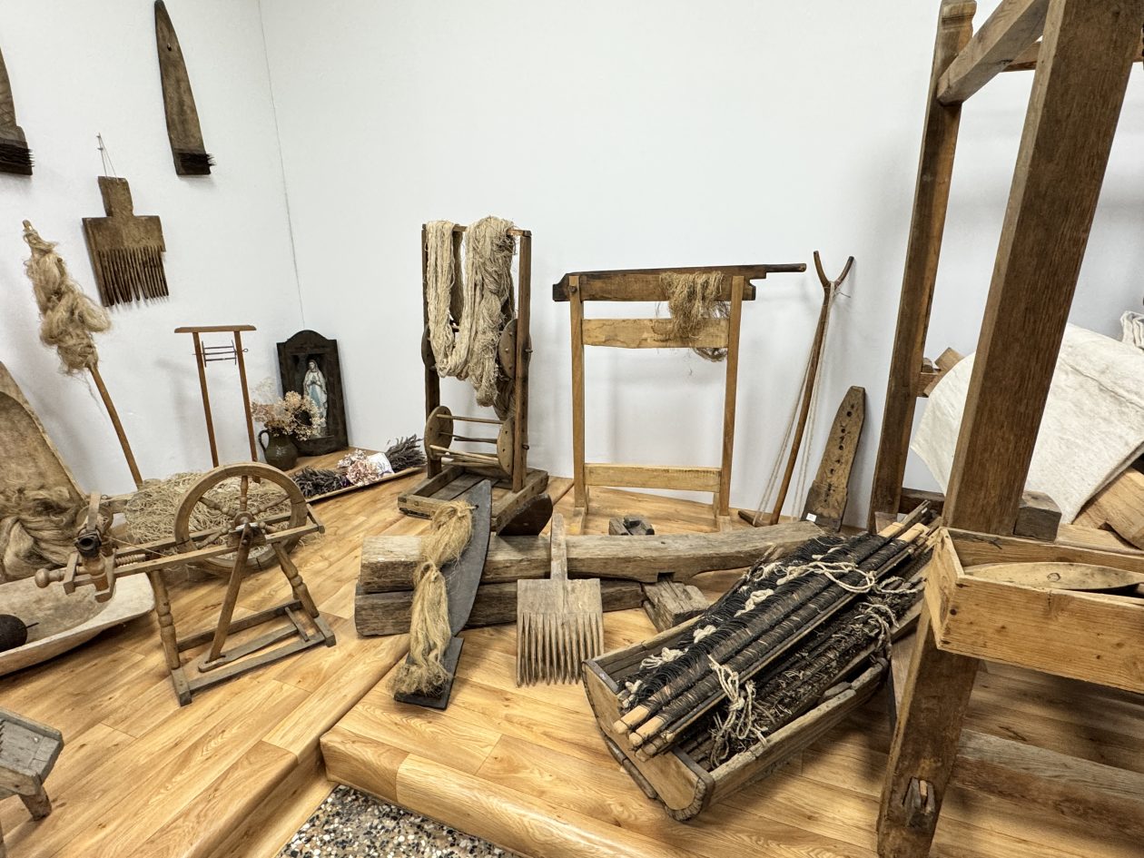 MALA SUBOTICA Noć muzeja (19)