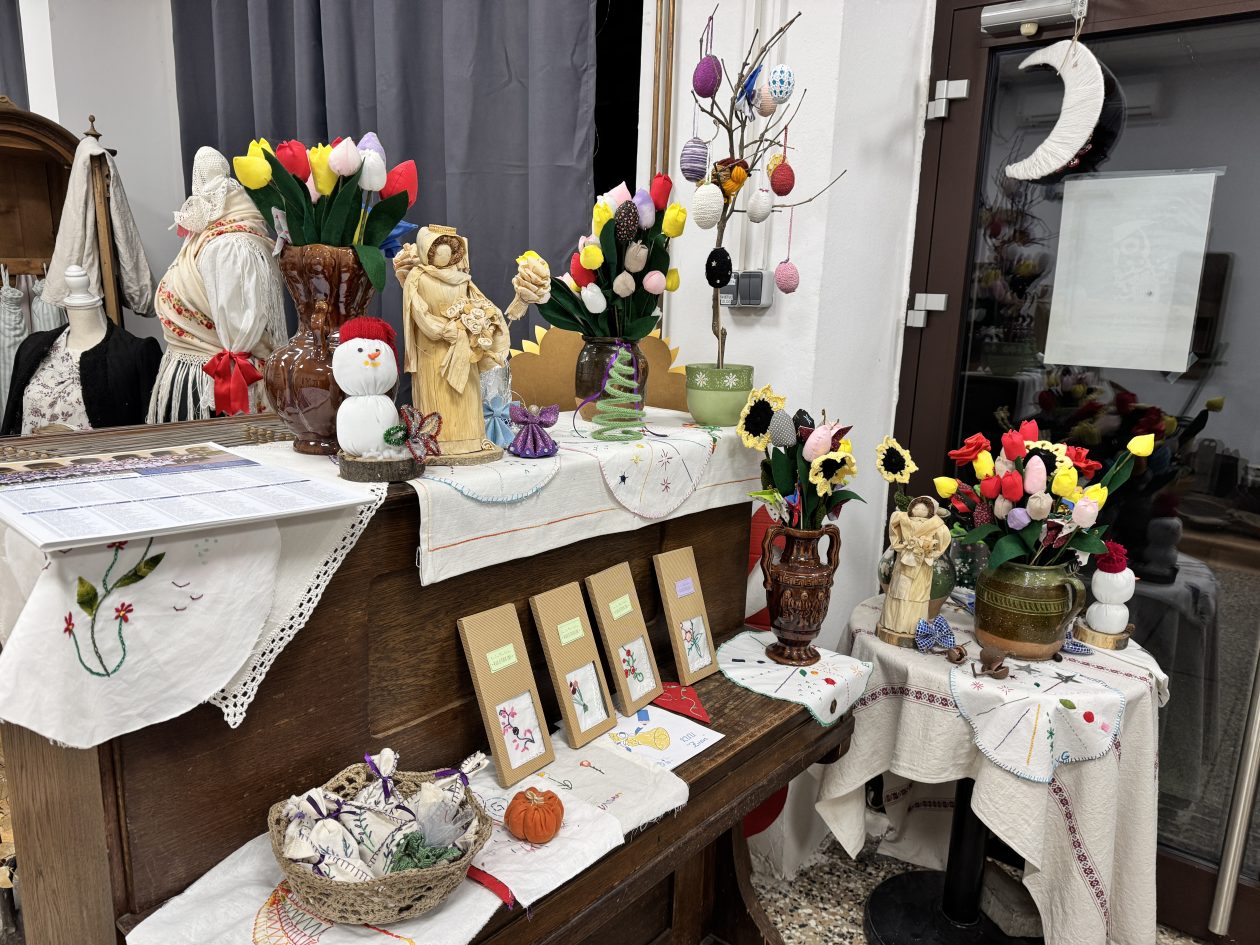 MALA SUBOTICA Noć muzeja (2)