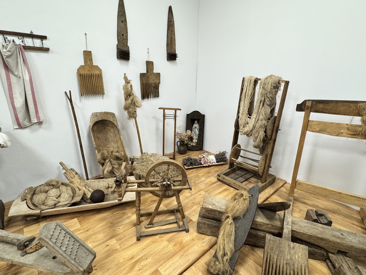 MALA SUBOTICA Noć muzeja (20)