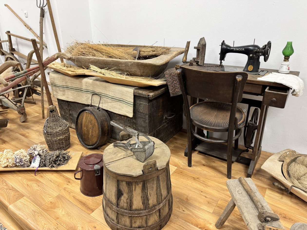 MALA SUBOTICA Noć muzeja (25)