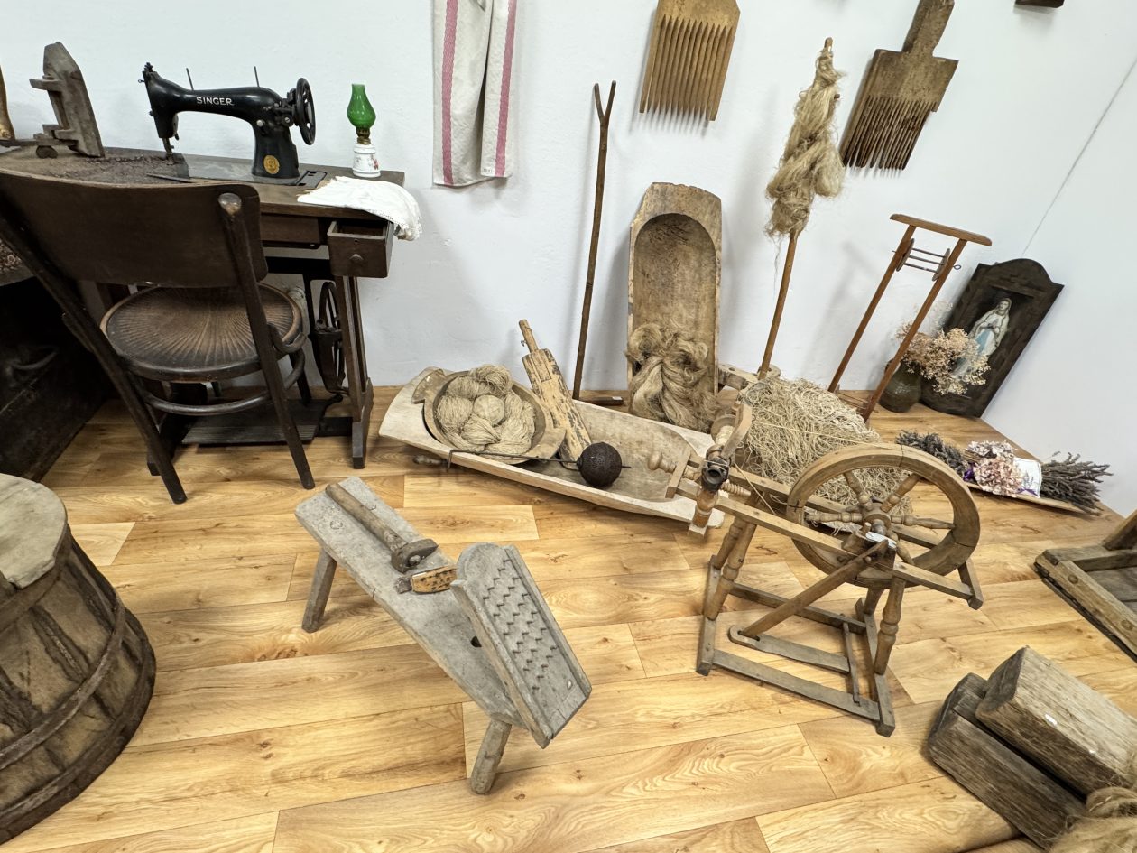 MALA SUBOTICA Noć muzeja (26)