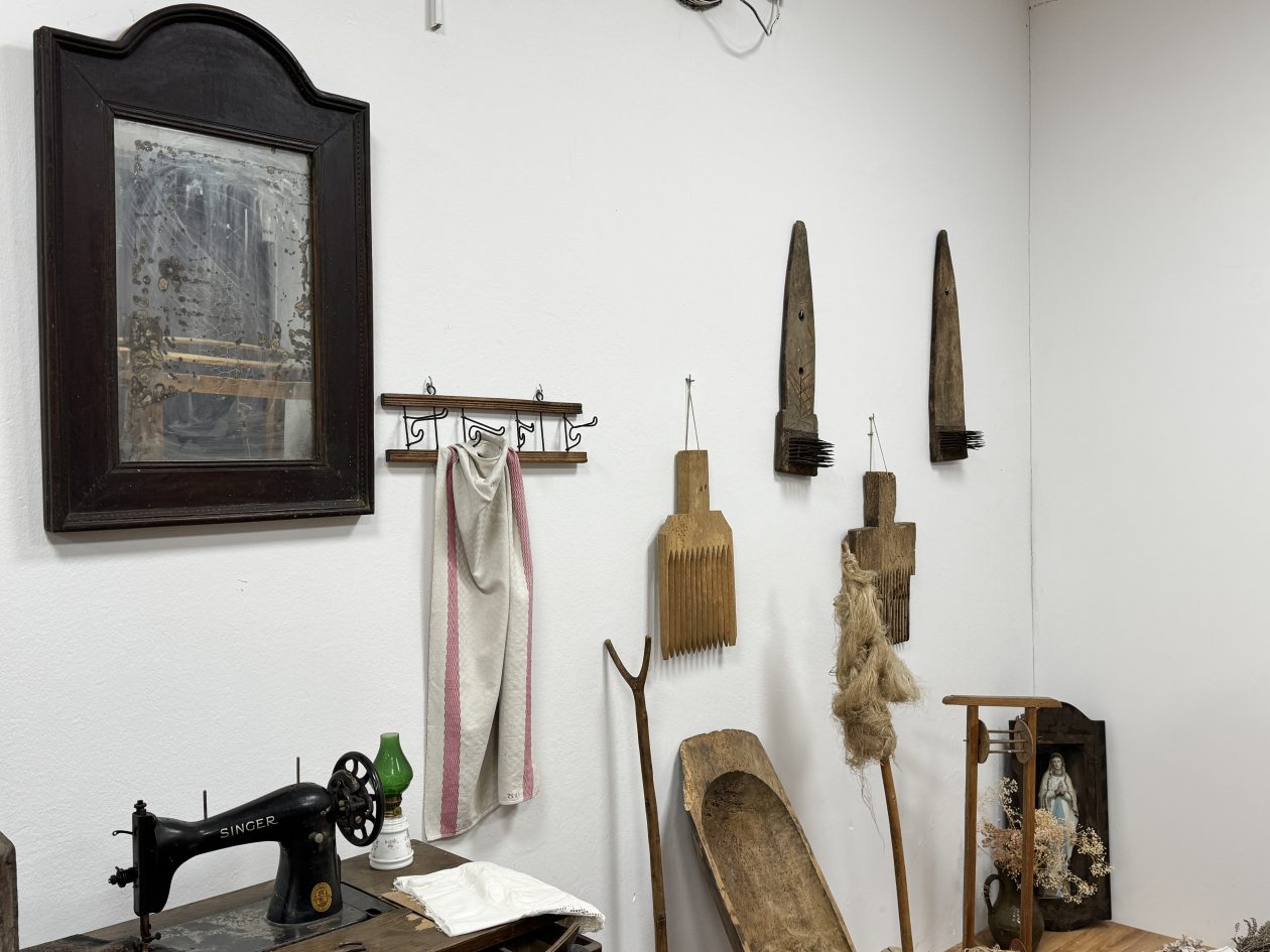 MALA SUBOTICA Noć muzeja (27)