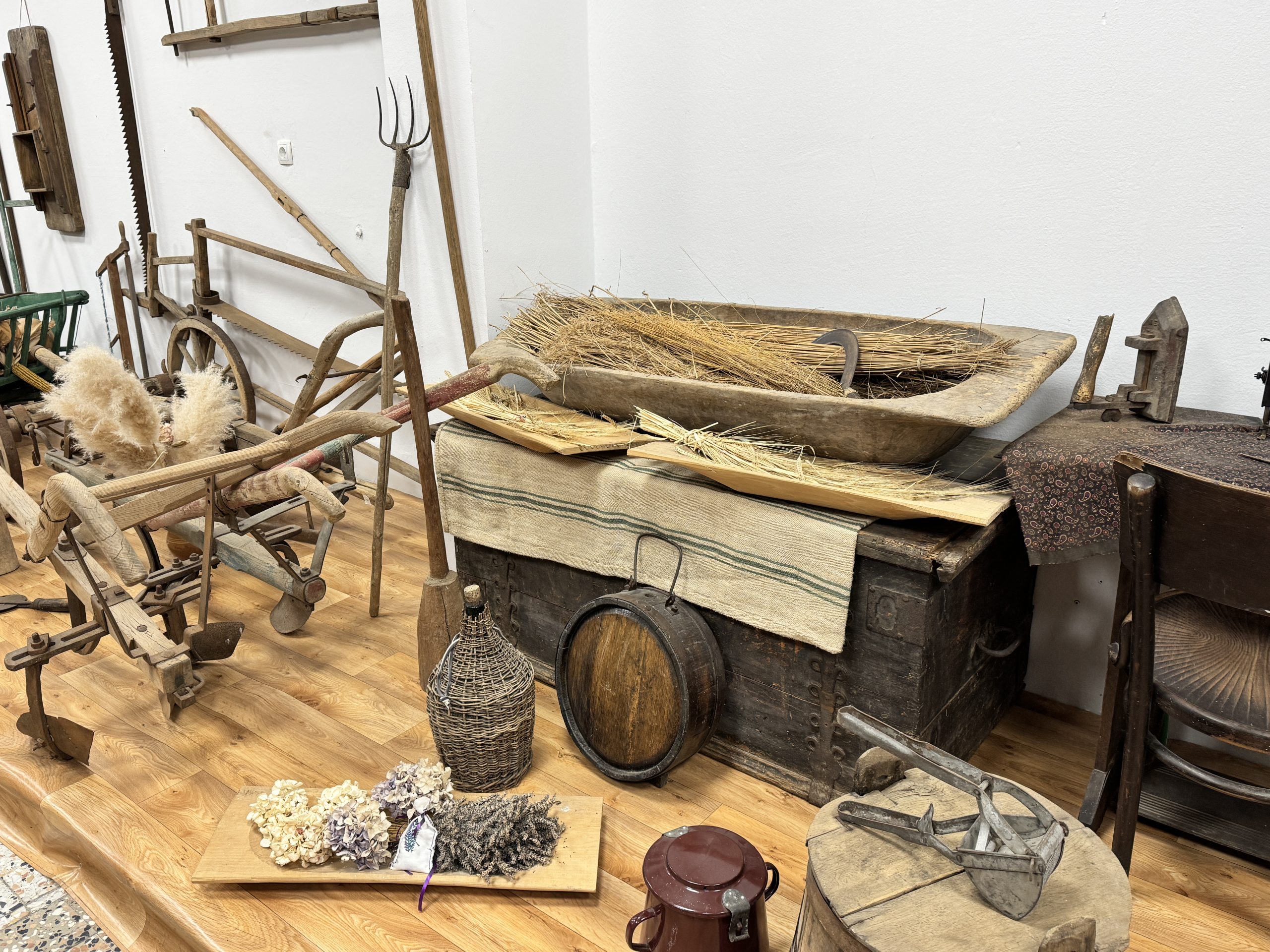 MALA SUBOTICA Noć muzeja (28) MALA SUBOTICA Noć muzeja (28)