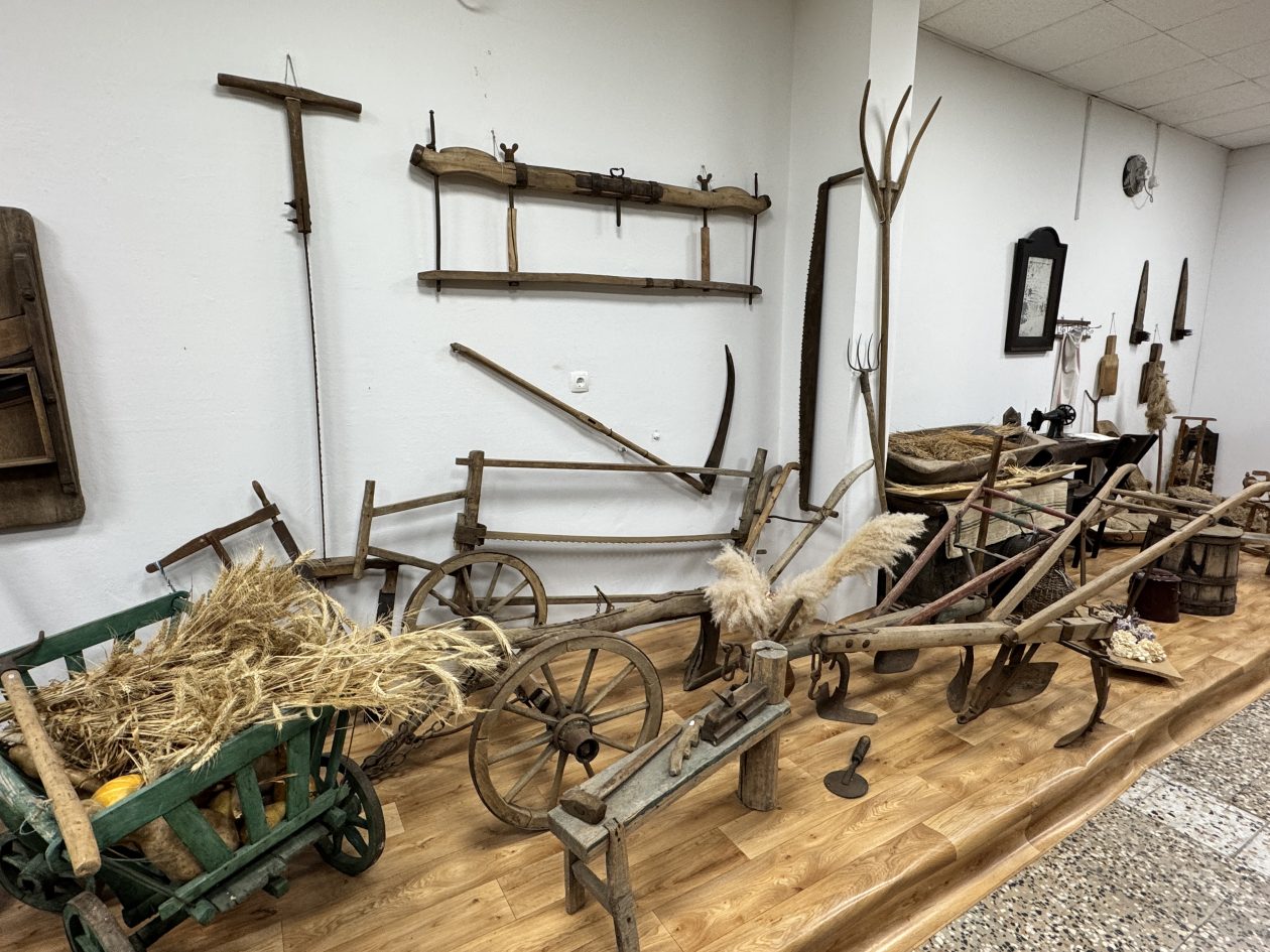 MALA SUBOTICA Noć muzeja (29)