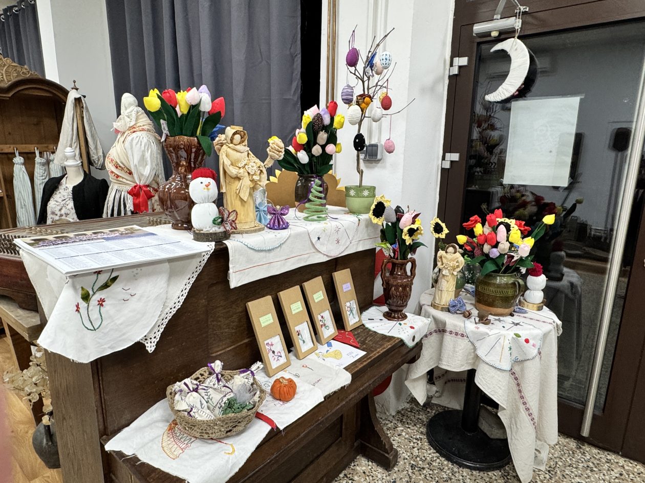 MALA SUBOTICA Noć muzeja (3)