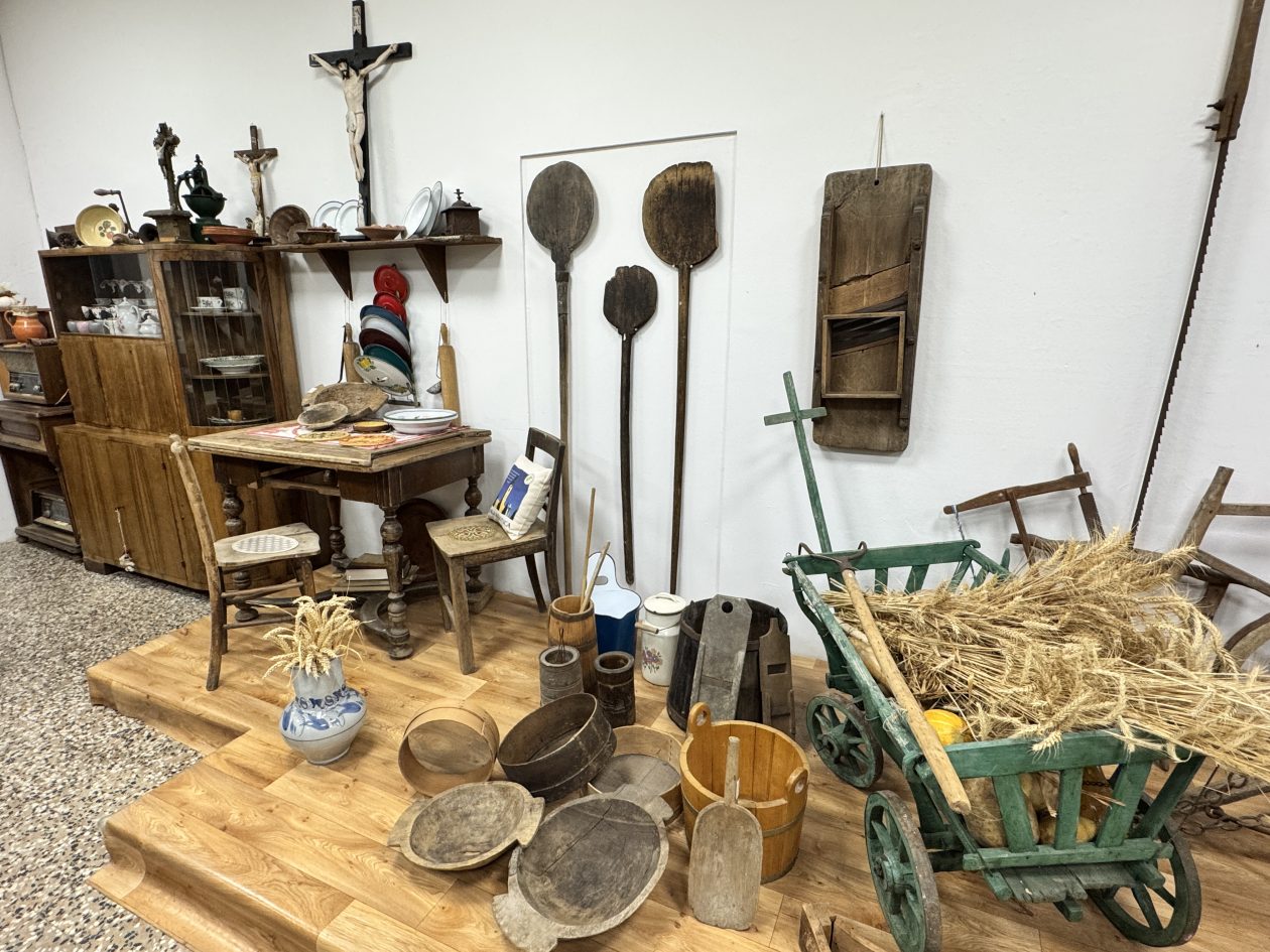 MALA SUBOTICA Noć muzeja (31)