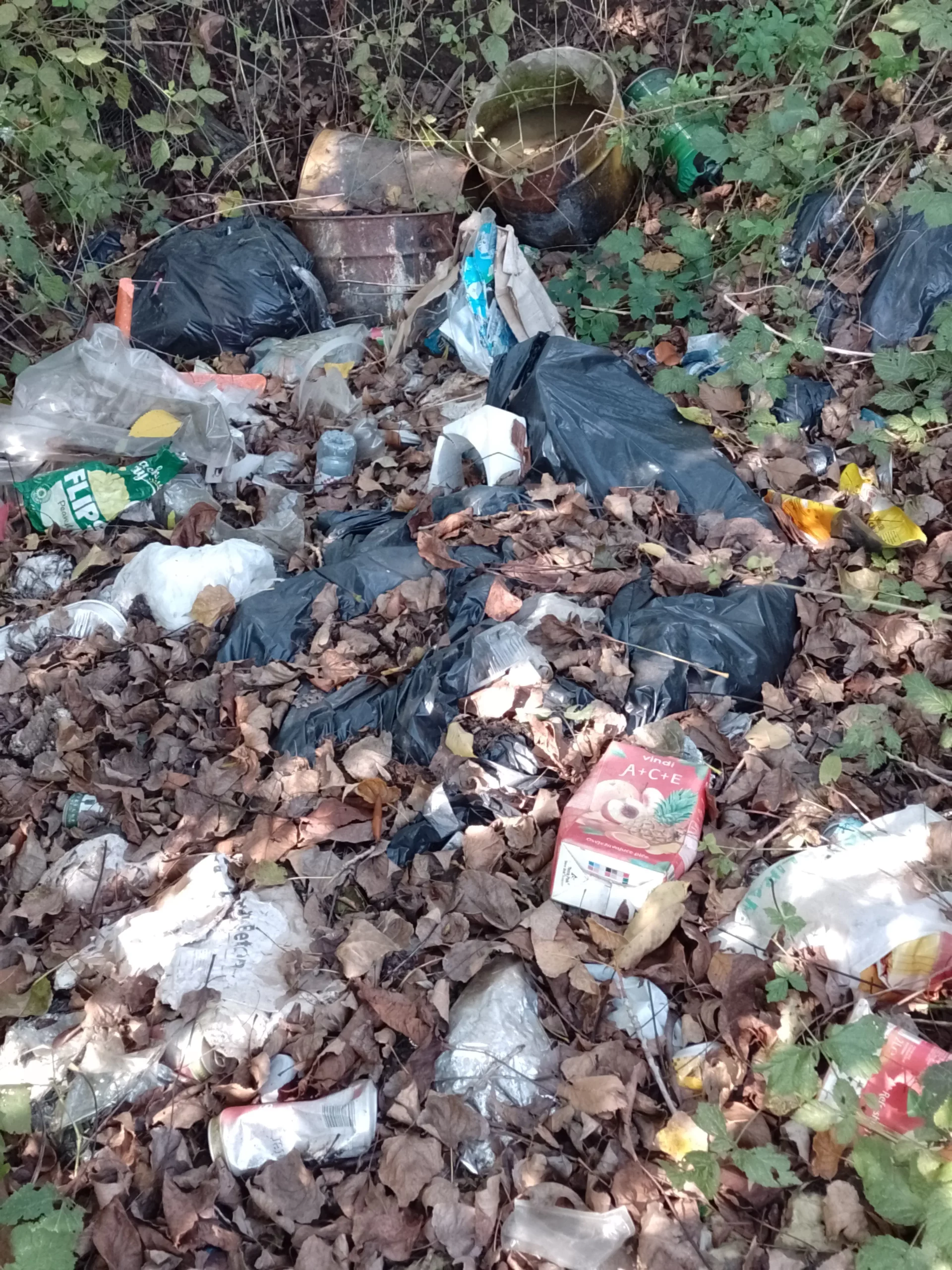 MALA SUBOTICA Pridružili se globalnoj akciji čišćenja Prikupljeno 327 kg otpada (4) MALA SUBOTICA Pridružili se globalnoj akciji čišćenja Prikupljeno 327 kg otpada (4)