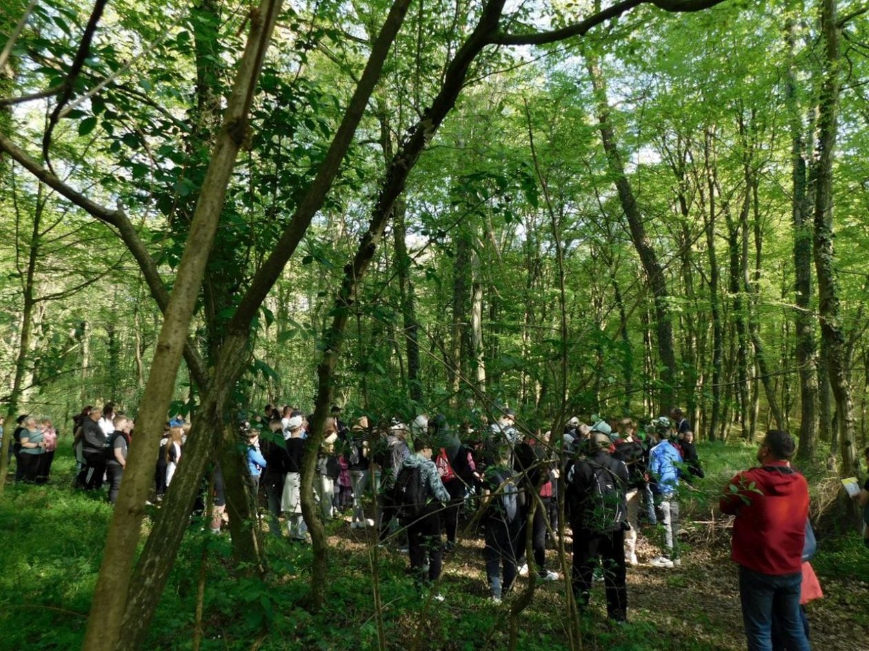 MATEMATIKA I ODGOJ Jurjevski projekt oduševio sudionike skupa (7)