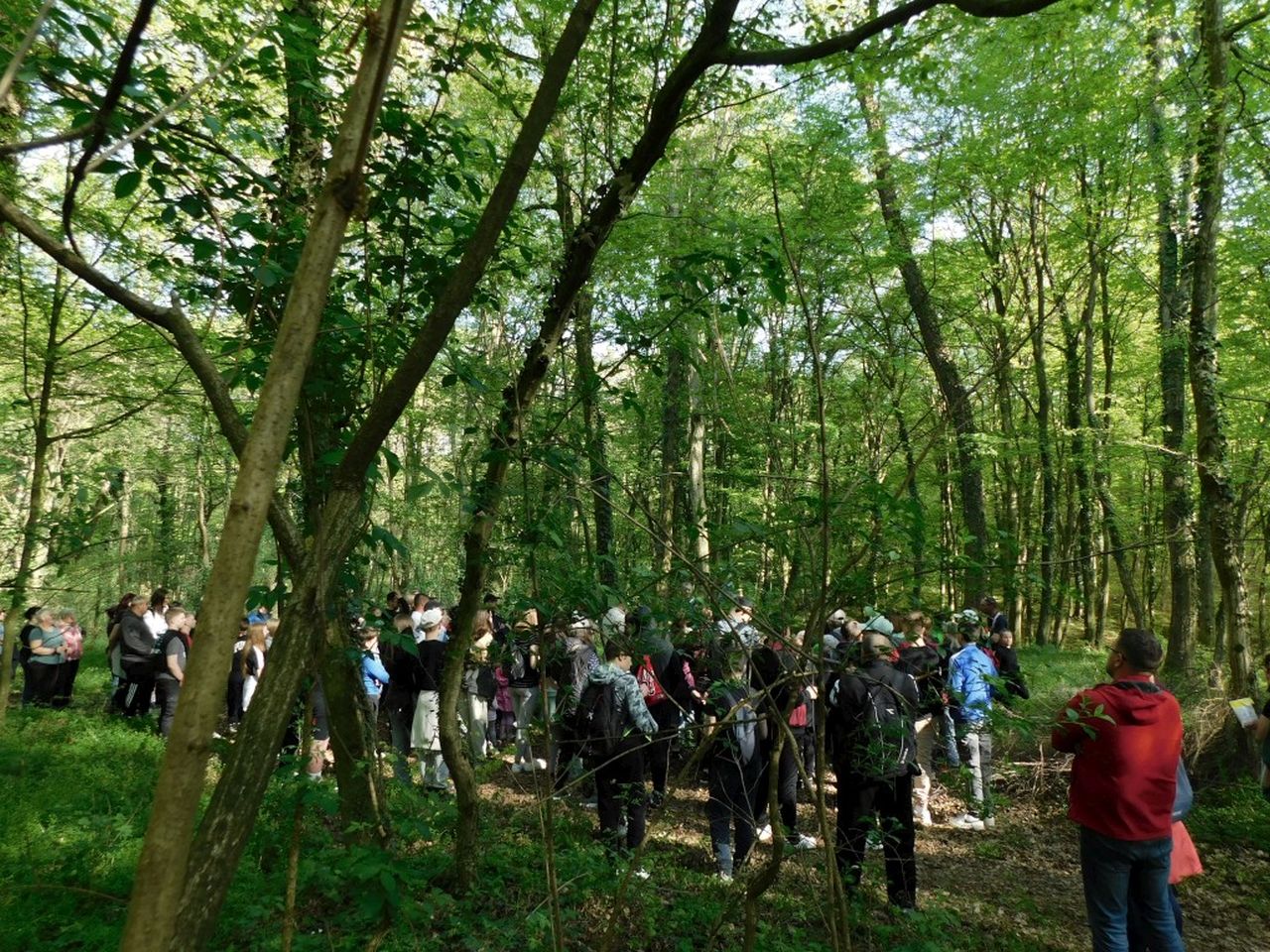 MATEMATIKA I ODGOJ Jurjevski projekt oduševio sudionike skupa (7)