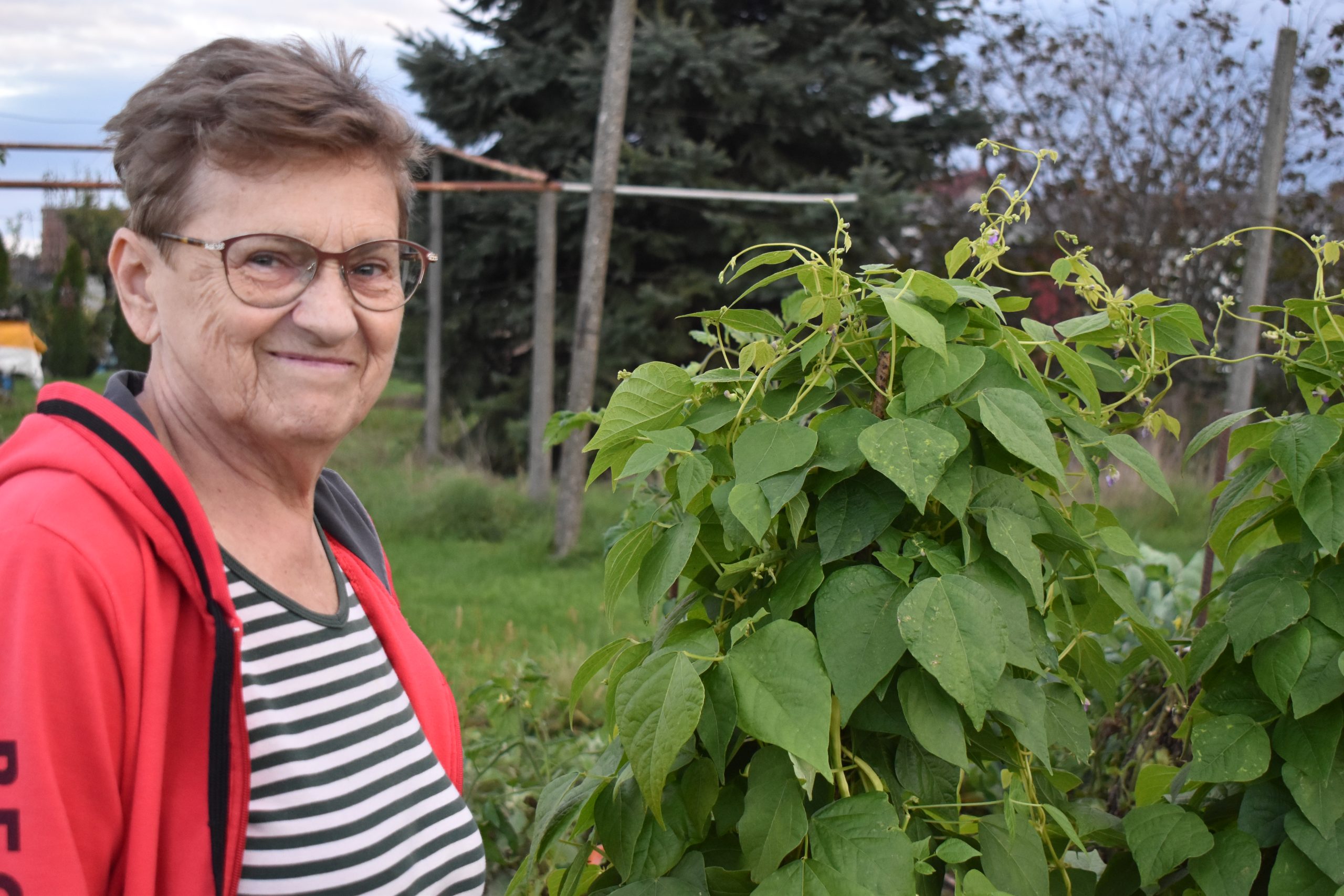 MArija Horvat (3) MArija Horvat (3)