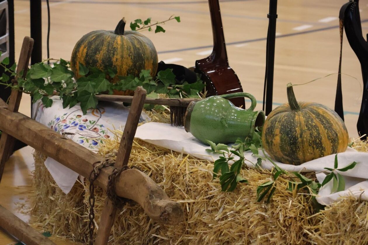 MEĐUNARODNI SUSRET Strahoninec ugostio folkloraše iz Hrvatske i susjednih zemalja (12)