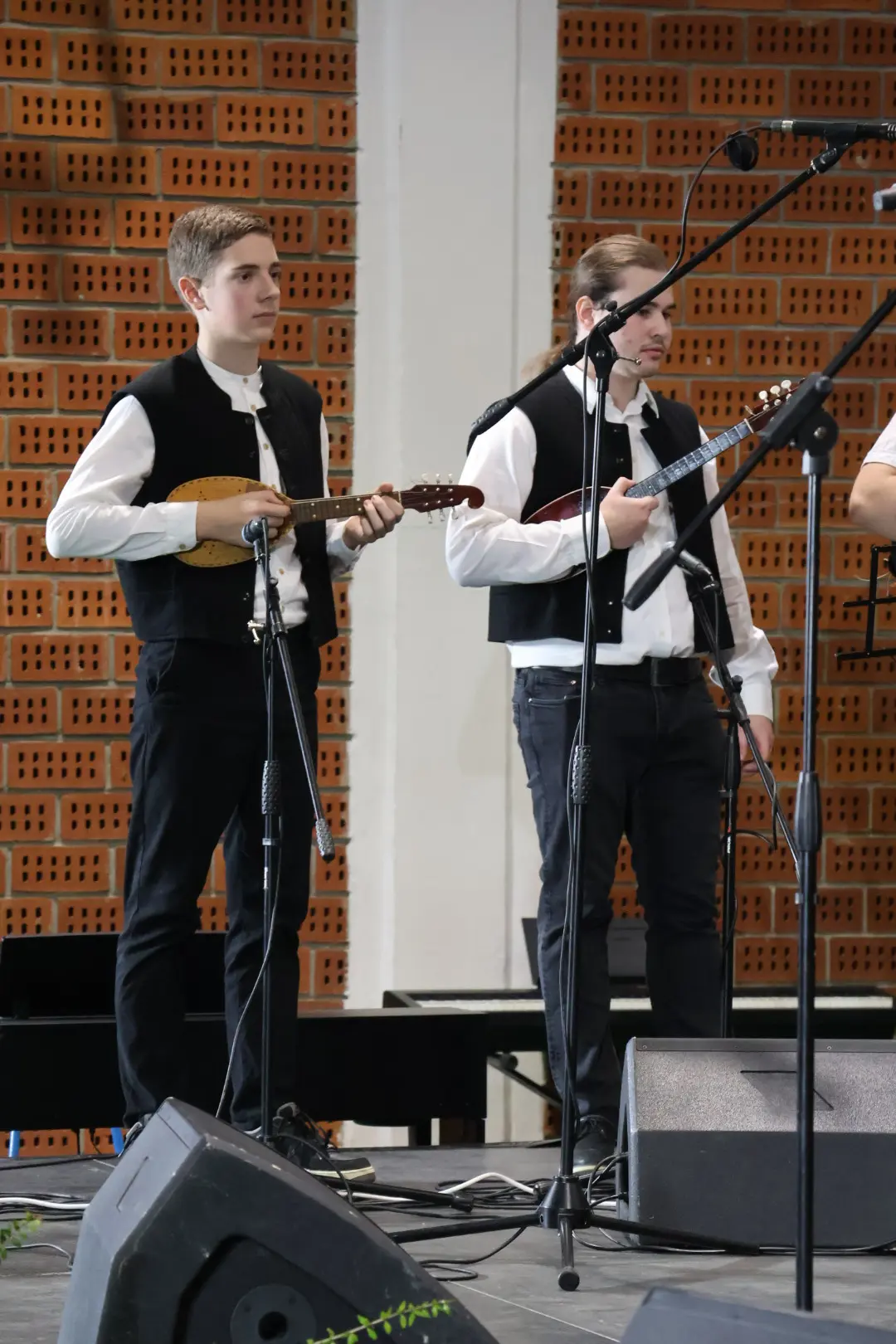 MEMORIJAL “DECA, MOJA DECA” Teta Liza (40)