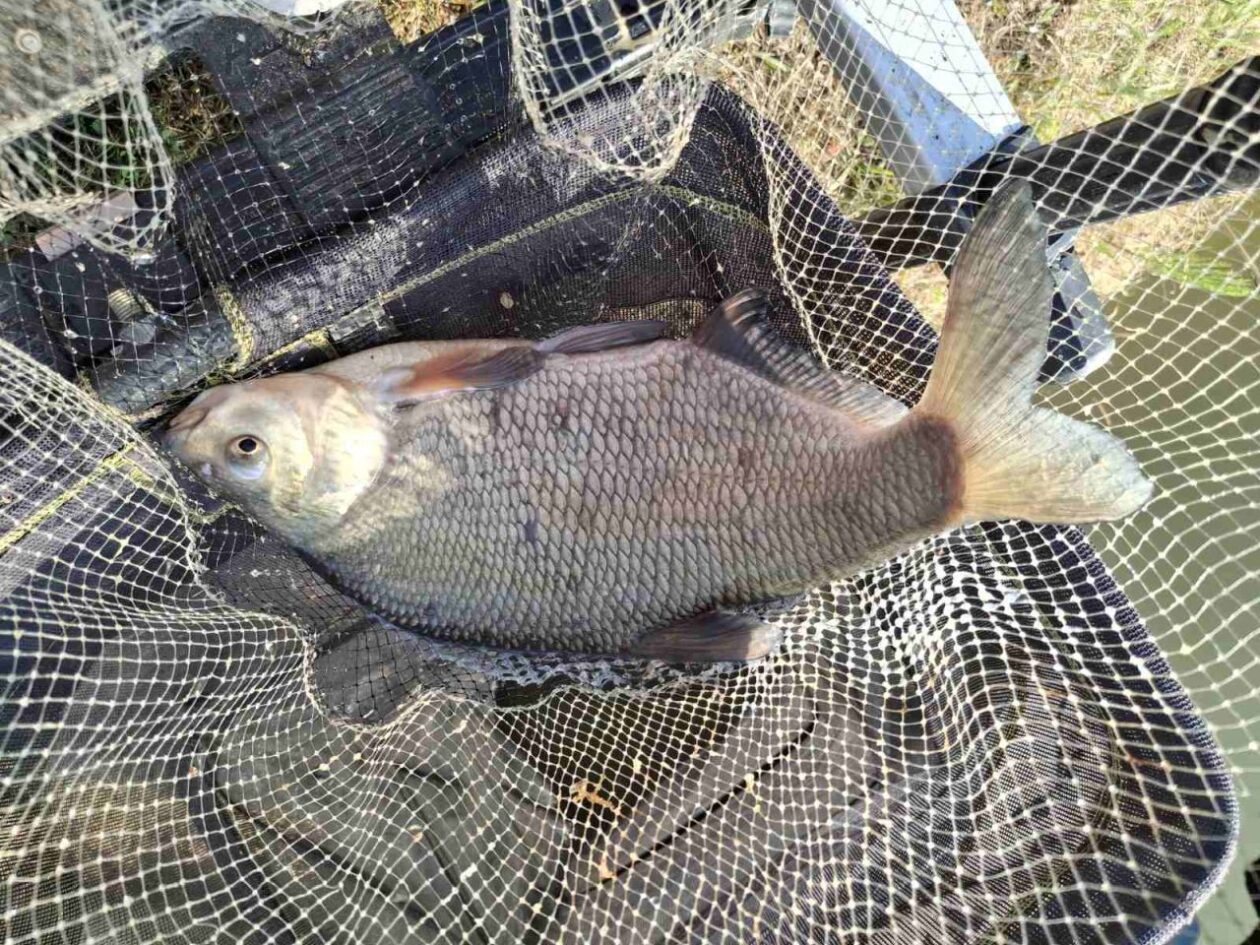 MLADE RIBIČKE NADE Treće kolo Lige Mladeži okupilo najuspješnije mlade natjecatelje (5)