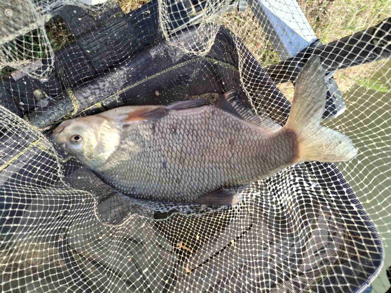 MLADE RIBIČKE NADE Treće kolo Lige Mladeži okupilo najuspješnije mlade natjecatelje (5) MLADE RIBIČKE NADE Treće kolo Lige Mladeži okupilo najuspješnije mlade natjecatelje (5)