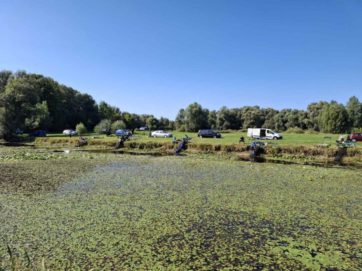 MLADI RIBIČI Održano peto kolo Lige Mladeži 2025. u ribolovu udicom na plovak (1)