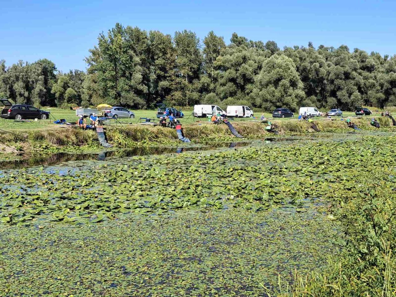 MLADI RIBIČI Održano peto kolo Lige Mladeži 2025. u ribolovu udicom na plovak (3) MLADI RIBIČI Održano peto kolo Lige Mladeži 2025. u ribolovu udicom na plovak (3)