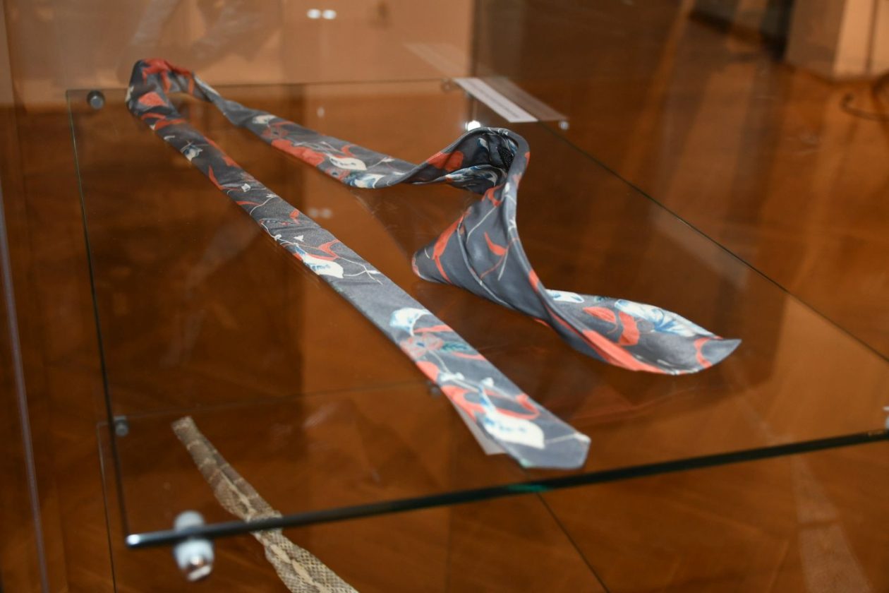 MMČ kravate 2025 (8)