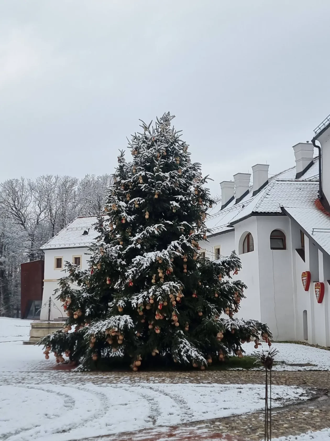 MMČ zima stari grad Čakovec (3)