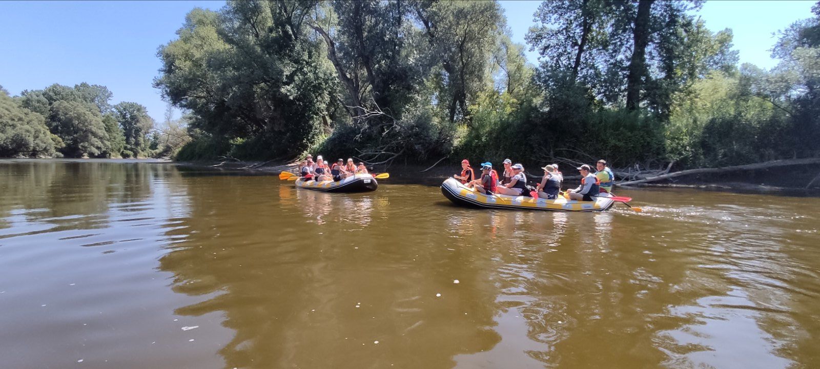 MNK Mura Kotoriba 50 MNK Mura Kotoriba 50