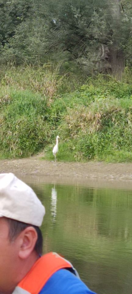 MNK Mura Kotoriba dan noć 2025 (2)