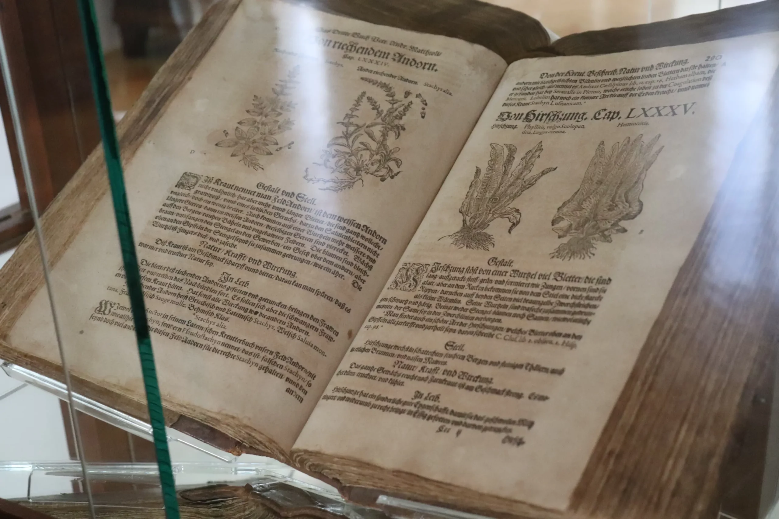 MUZEJ MEĐIMURJA ČAKOVEC 21. Noć muzeja (2) MUZEJ MEĐIMURJA ČAKOVEC 21. Noć muzeja (2)