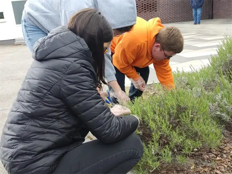 MŽ projekt „Zdrav za 5“ (36)