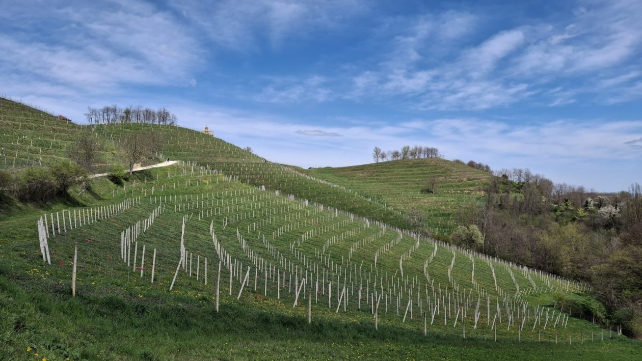 Mađerkin breg Uskrsni ponedjeljak 2026 (4)