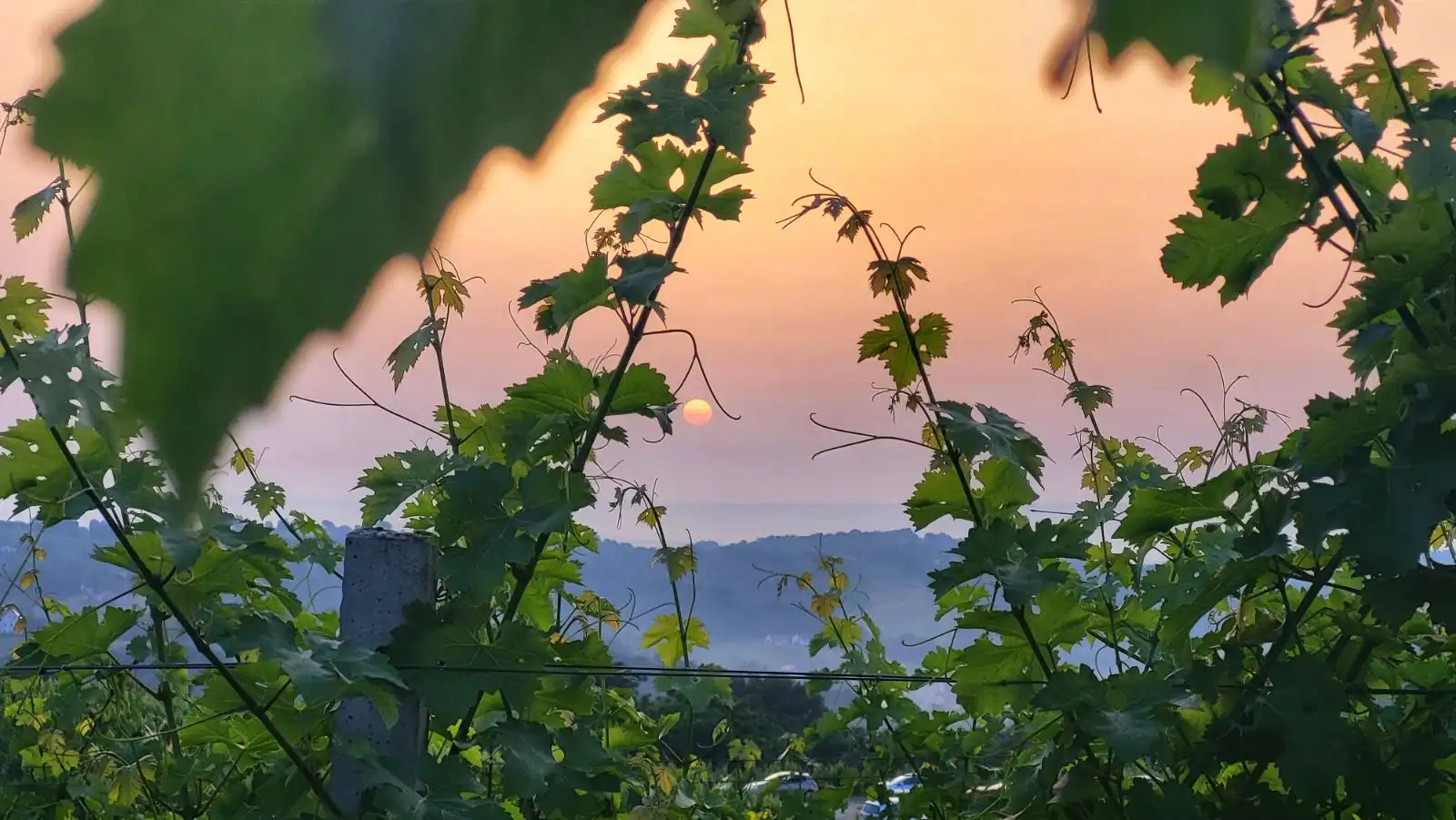 Mađerkin breg- doček ljeta 2024 (22)