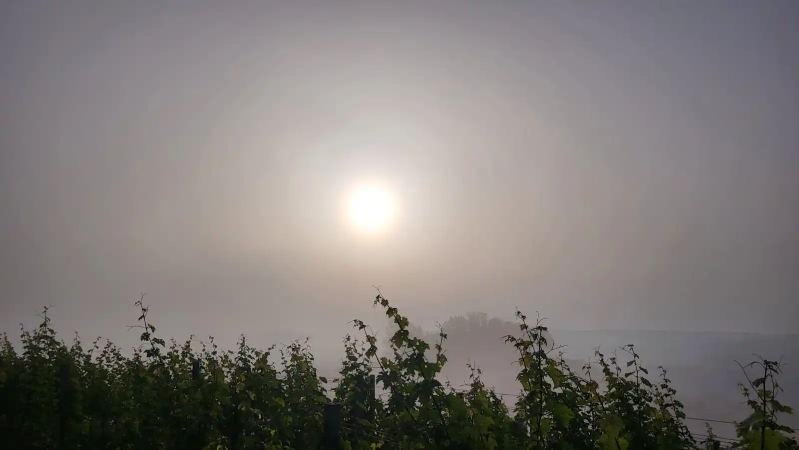 Mađerkin breg- doček ljeta 2024 (27)