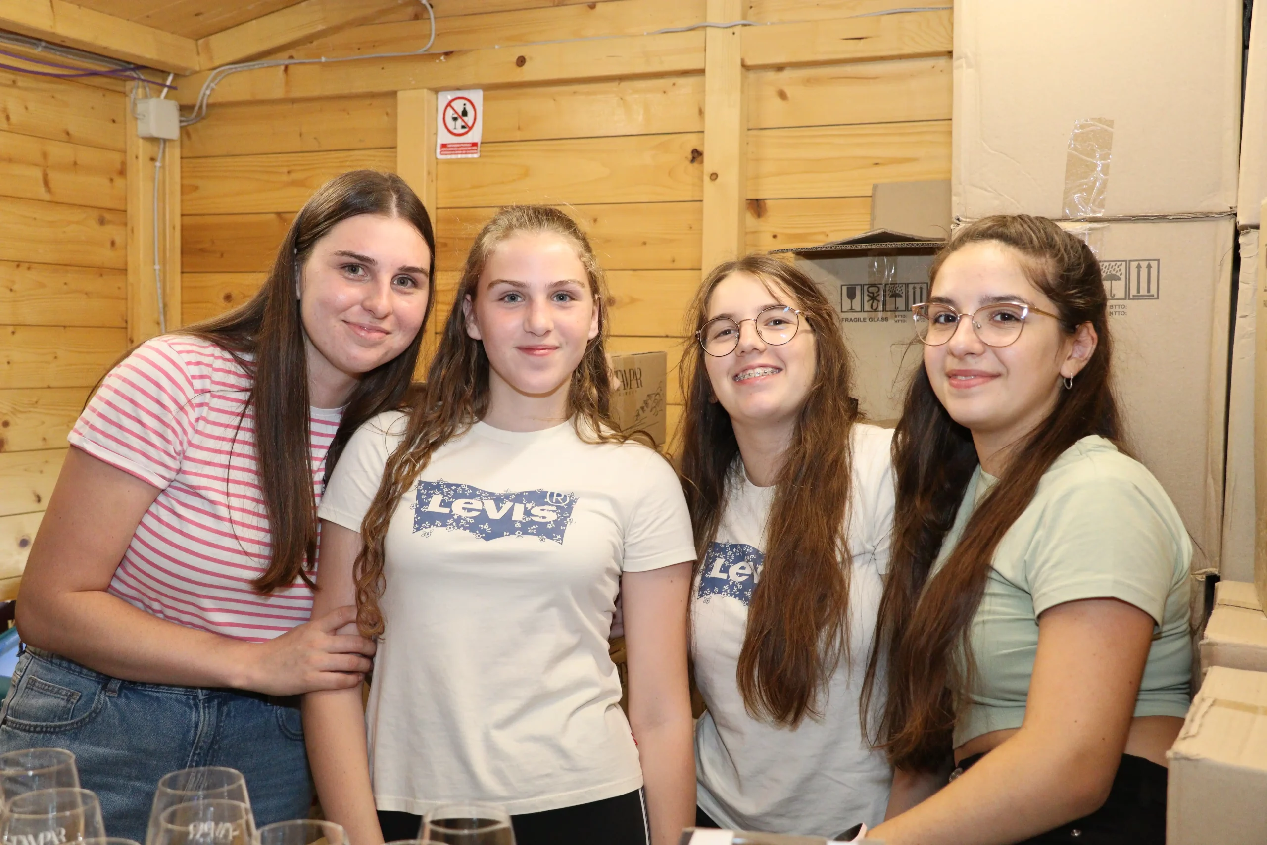 Mađerkin breg – koncert Vanne (19) Mađerkin breg – koncert Vanne (19)