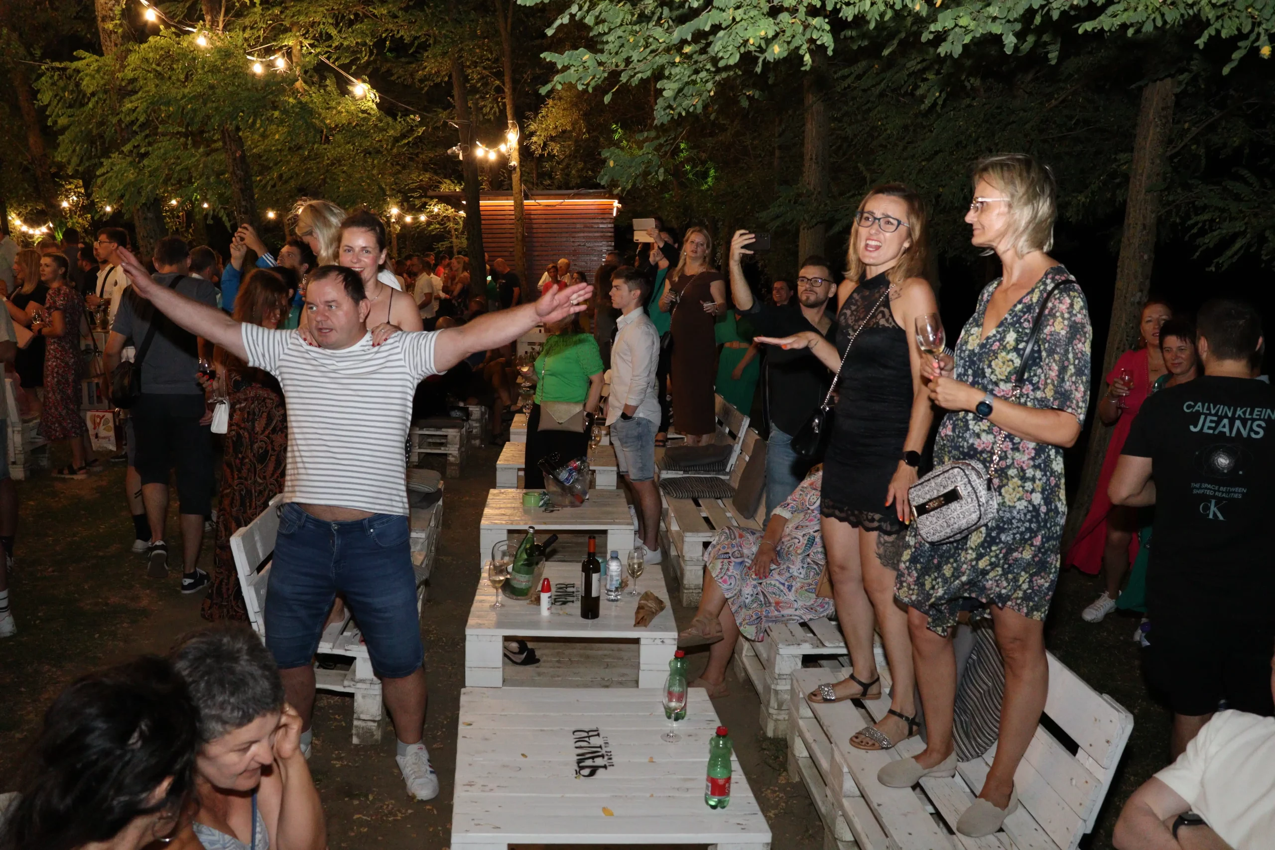 Mađerkin breg – koncert Vanne (21) Mađerkin breg – koncert Vanne (21)