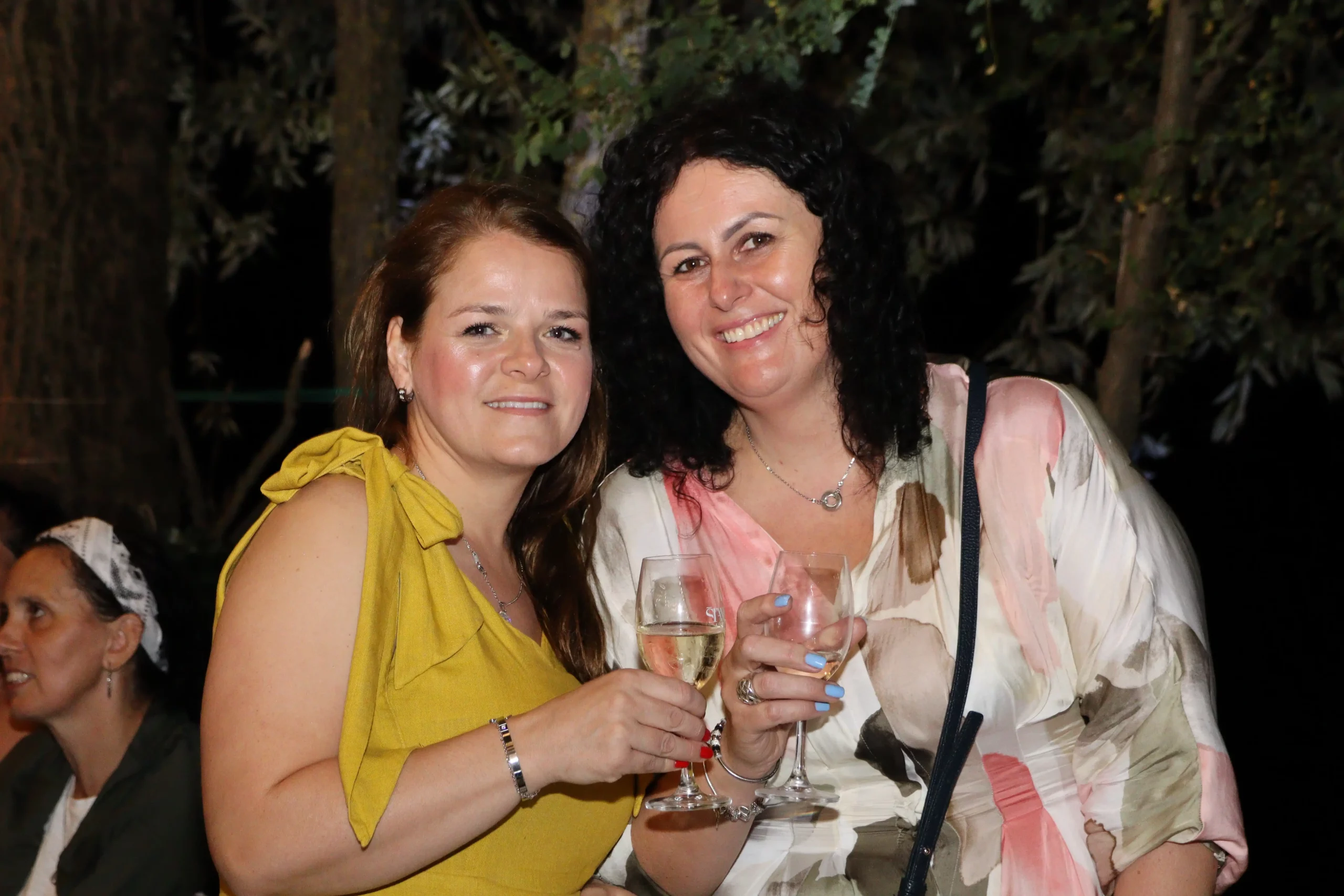 Mađerkin breg – koncert Vanne (28) Mađerkin breg – koncert Vanne (28)