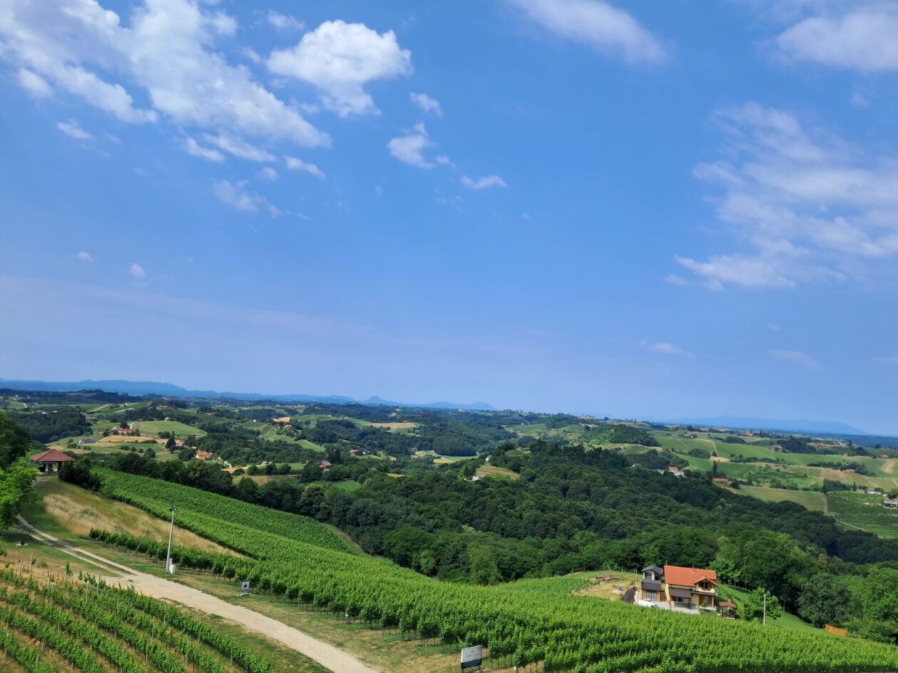 Mađerkin breg, vidikovac (10)