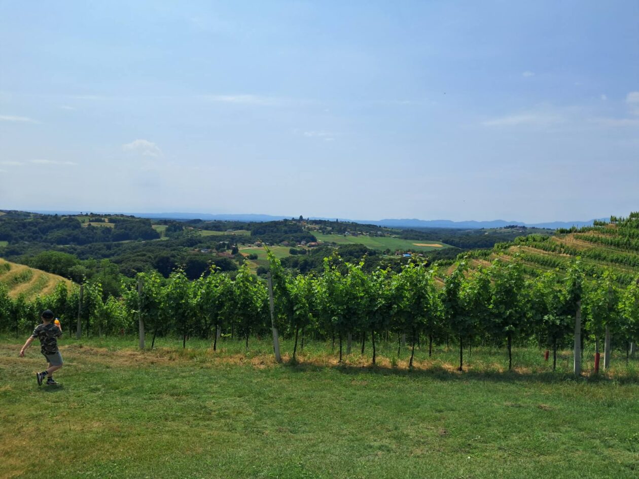 Mađerkin breg, vidikovac (12)