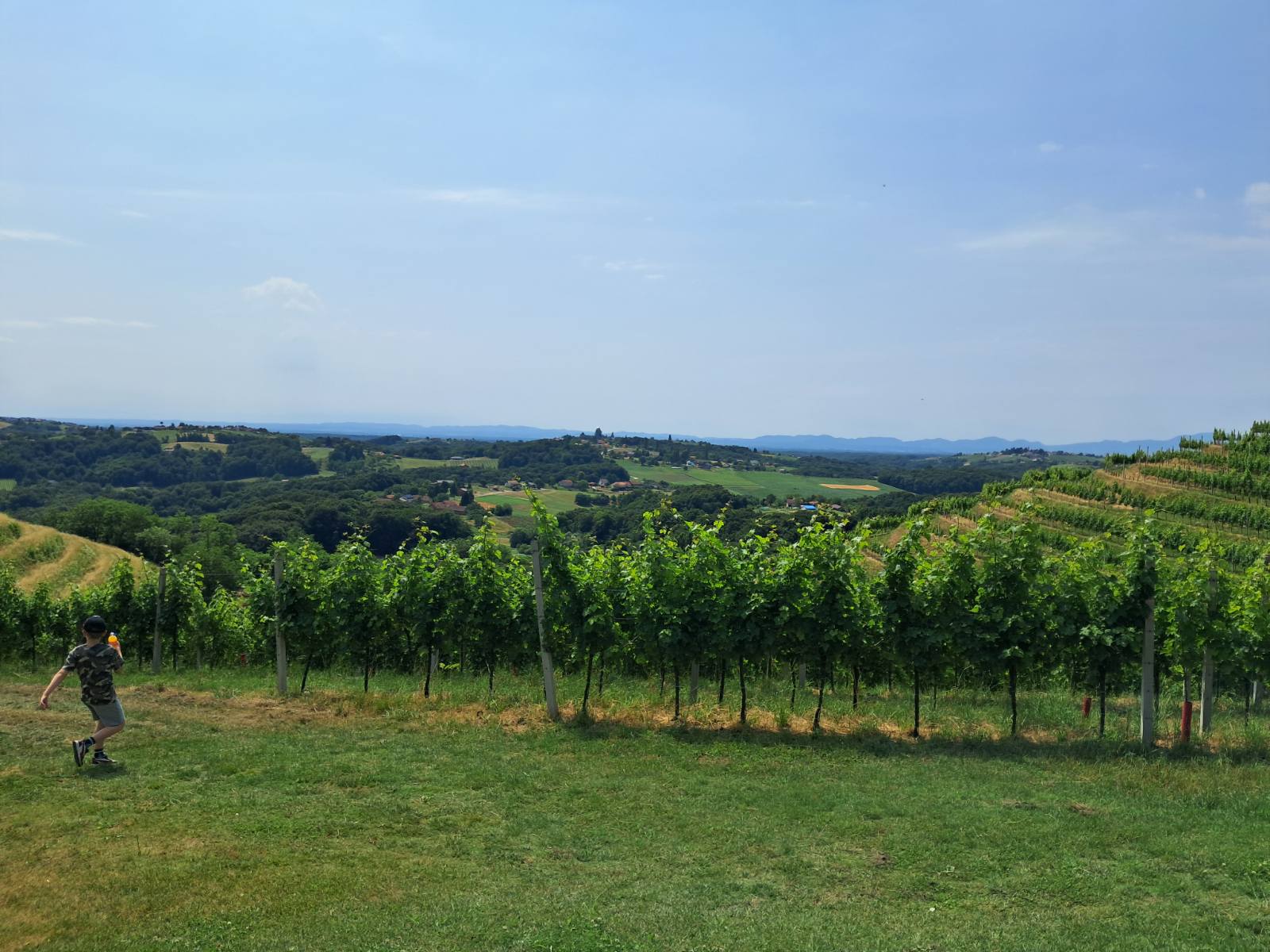 Mađerkin breg, vidikovac (12)