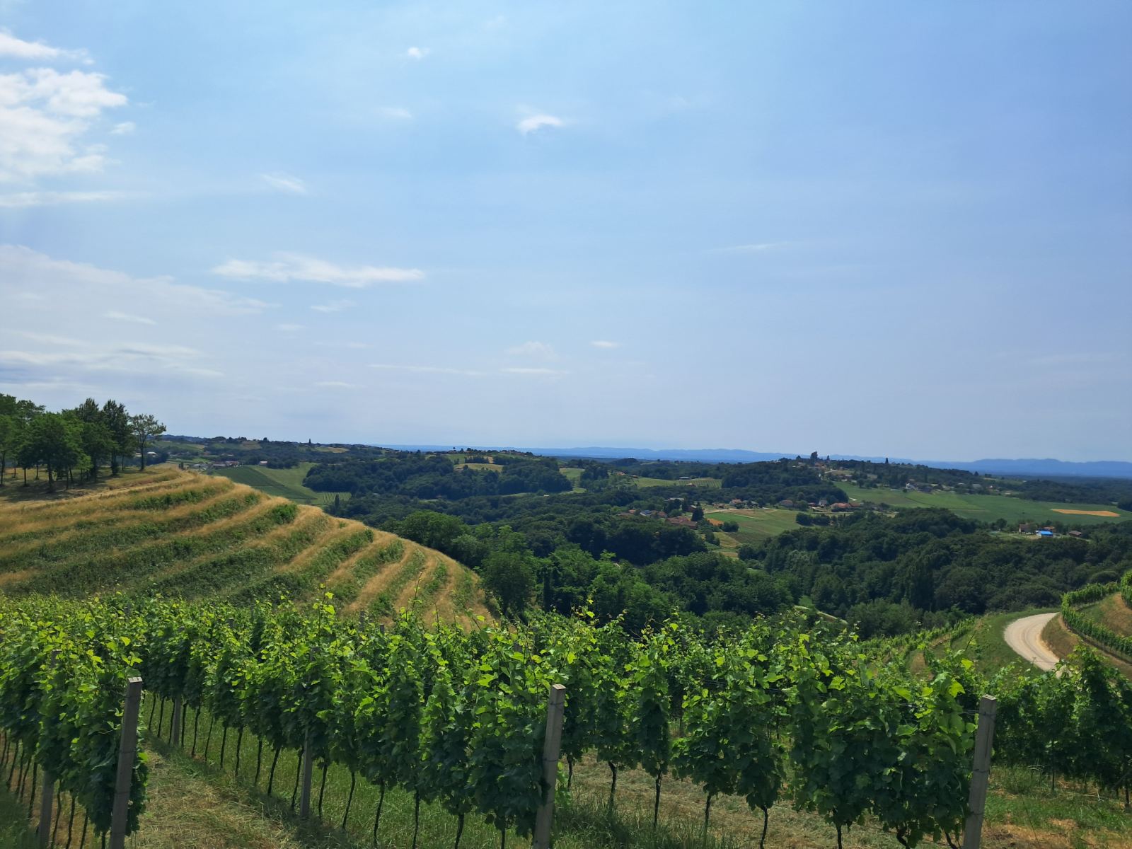 Mađerkin breg, vidikovac (14)