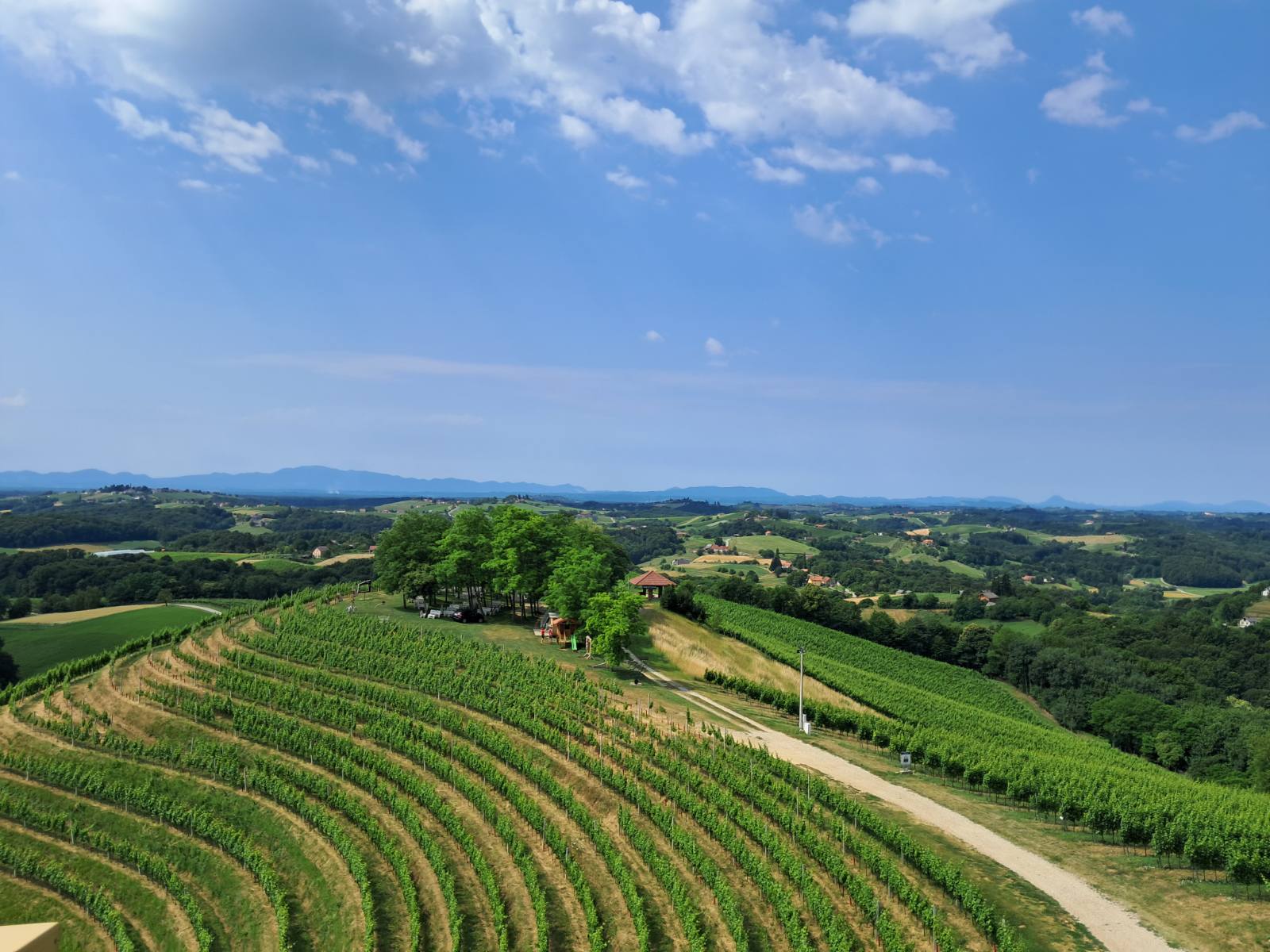 Mađerkin breg, vidikovac (15)