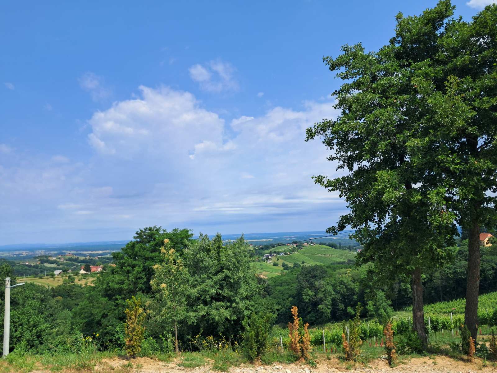 Mađerkin breg, vidikovac (3)