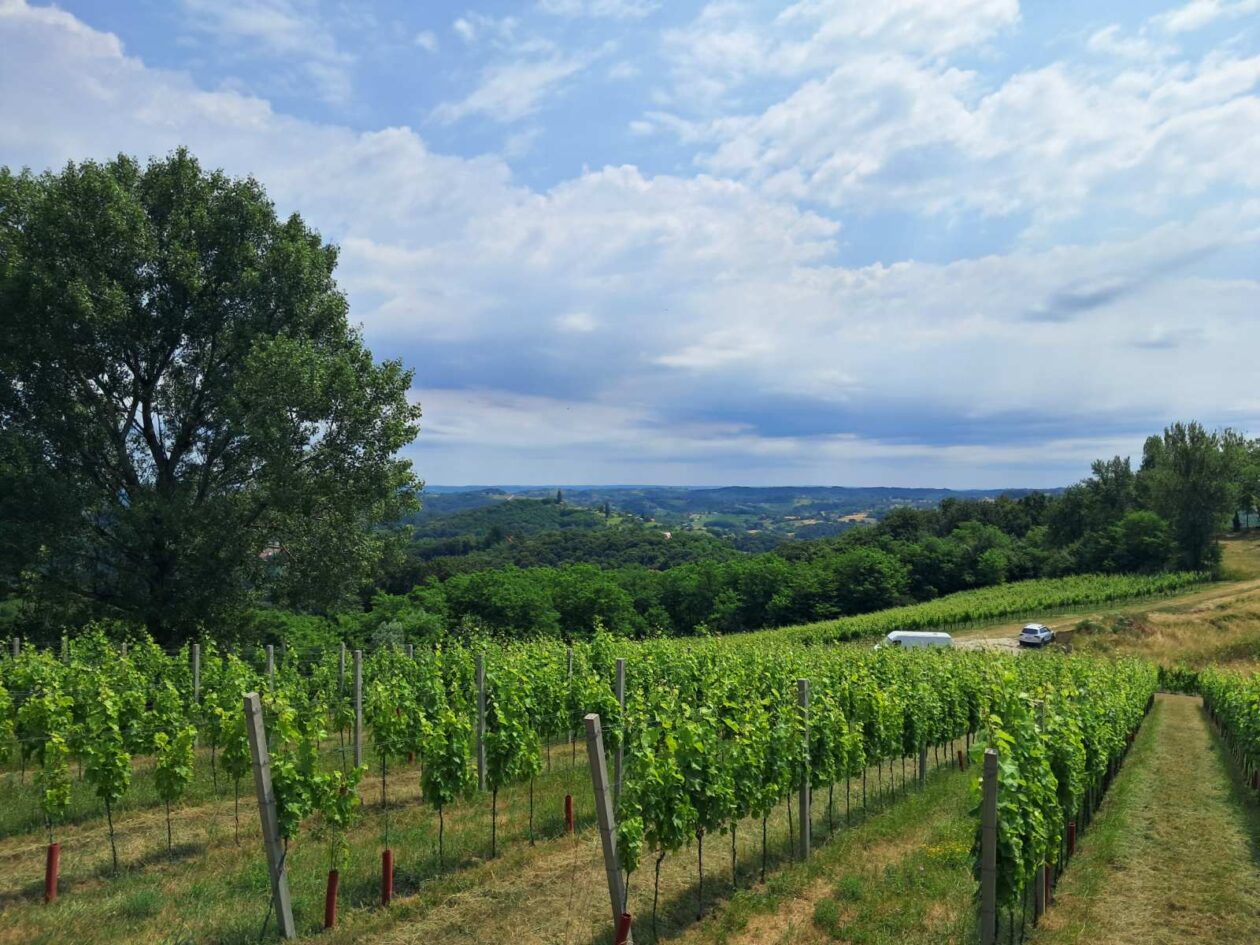 Mađerkin breg, vidikovac (4)