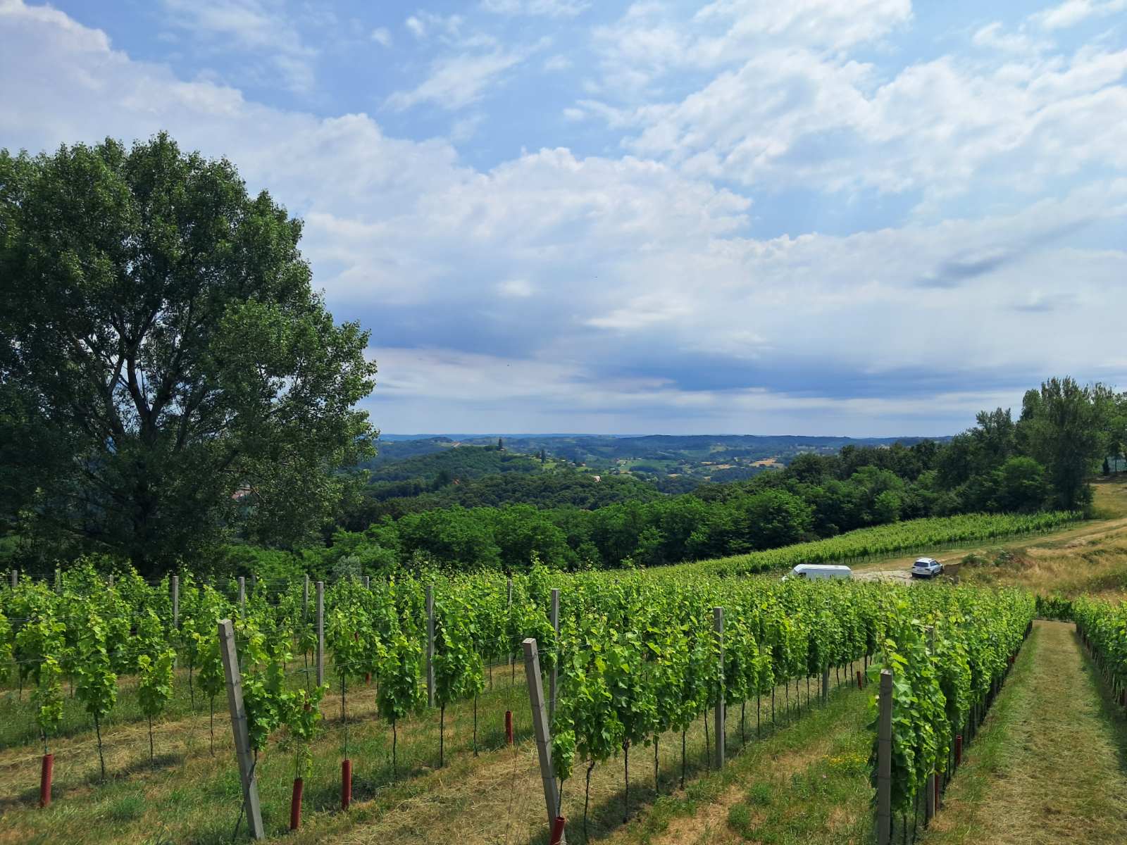 Mađerkin breg, vidikovac (4)